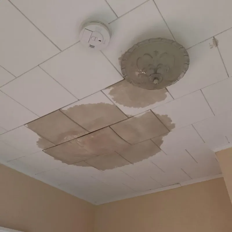 Ceiling Water Damage Repair in Silver Bay, MN