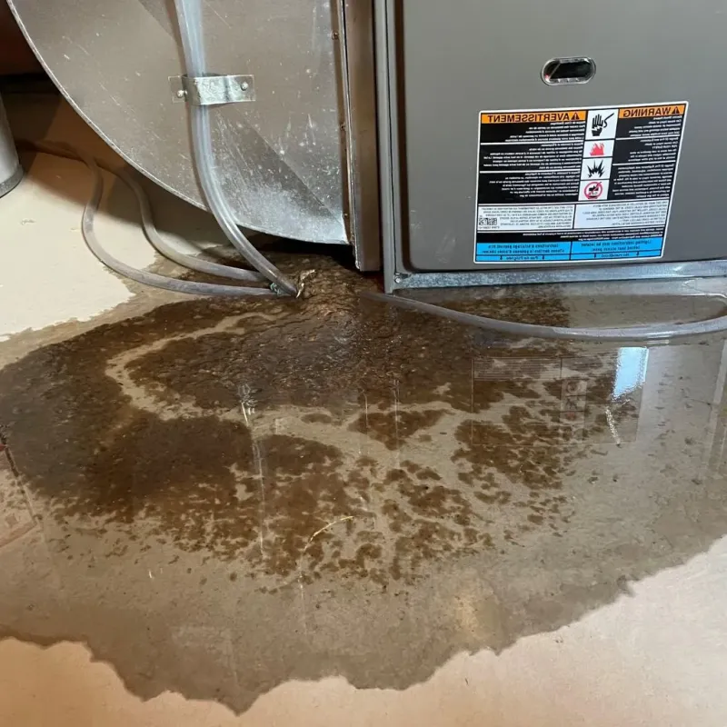 Pipe Burst and Leak Restoration in Silver Bay, MN
